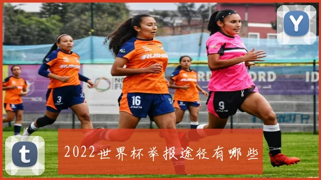 2022世界杯举报途径有哪些