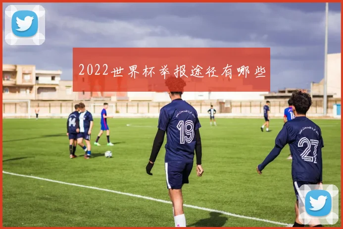 2022世界杯举报途径有哪些