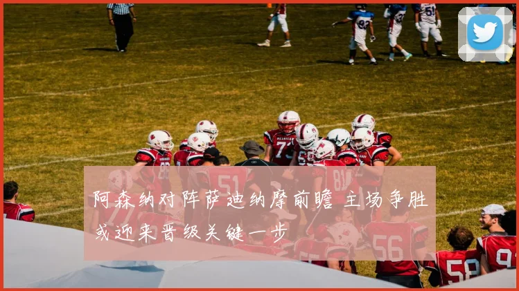 阿森纳对阵萨迪纳摩前瞻 主场争胜或迎来晋级关键一步