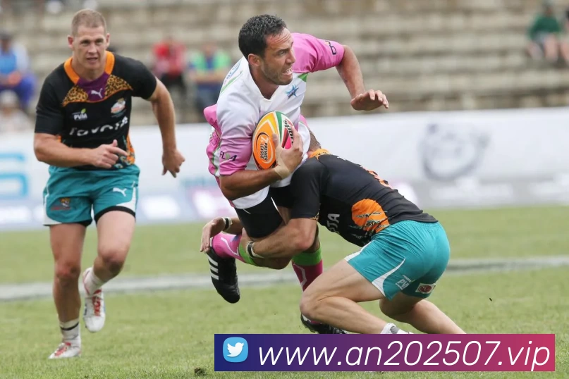 Kaiyun (中国官方网站) - 官方认证的服务平台服务体系